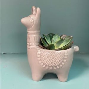 Meet your Posher, Kara